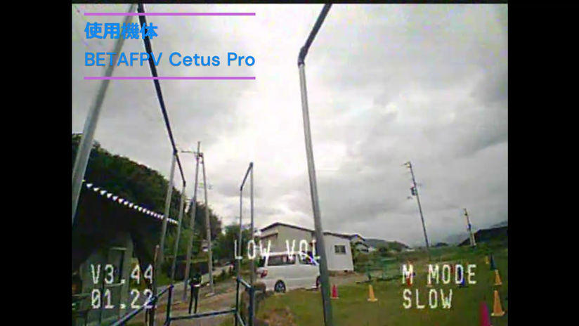 FPV in DPH